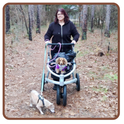 Our webmaster using her offroad walker in the woods.