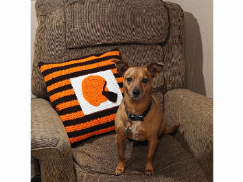 This Cleveland Browns pillow was a Christmas present to my dad, but my dog thought it should have been for her instead